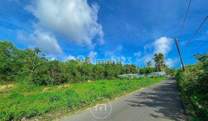 Freehold Land Ocean And Airport View At Pecatu Balangan, Bali 1