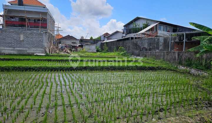 Tanah Kavling Strategis di Gunung Salak – Padang Sambian, Bali