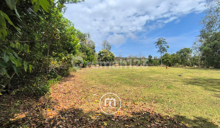 Tanah di Balangan cocok dibangun Villa Dekat ke Pantai