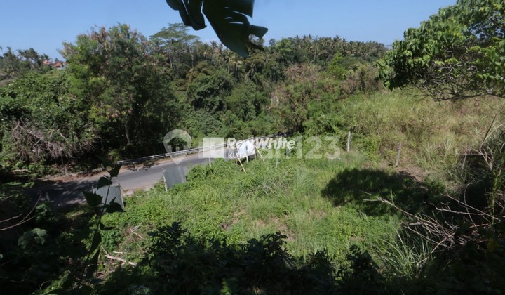 Tanah Lokasi Strategis Dan Langka Di Tegenungan Sukawati, Bali 2