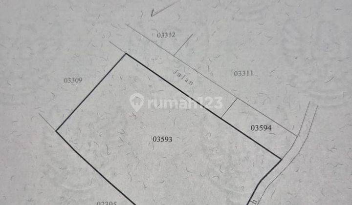 Premiun Rare Plot Land Close To Canggu Echo Beach, Bali 2