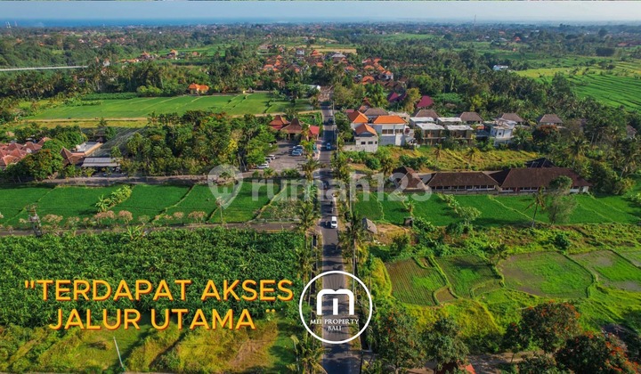 Tanah 4 Kavling View Persawahan di Ubud - Gianyar, Bali