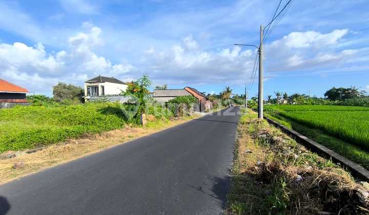 Tanah Hak Milik View Sawah Asri di Kemenuh – Ubud, Bali