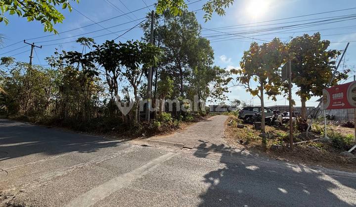 Premium Land Area in Villa Zone Near Bingin Beach, Pecatu, Bali