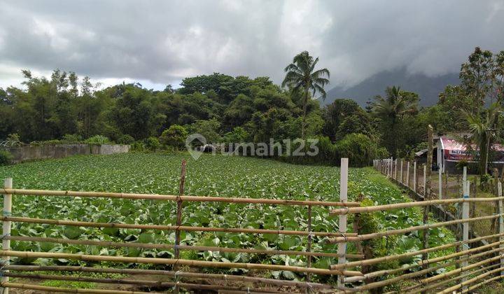 Tanah SHM Lokasi Strategis di Kakaskasen 2 Tomohon Utara. Sulawesi Utara 2