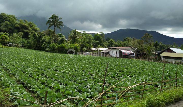 Tanah SHM Lokasi Strategis di Kakaskasen 2 Tomohon Utara. Sulawesi Utara 1