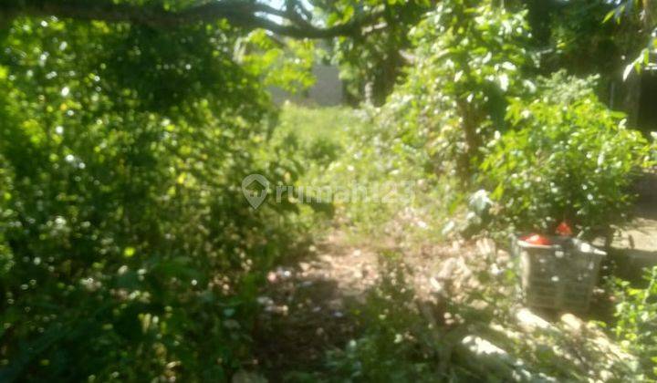 Dijual Rumah Pinggir Jalan Cocok Untuk Tempat Usaha Bebas Banjir 2