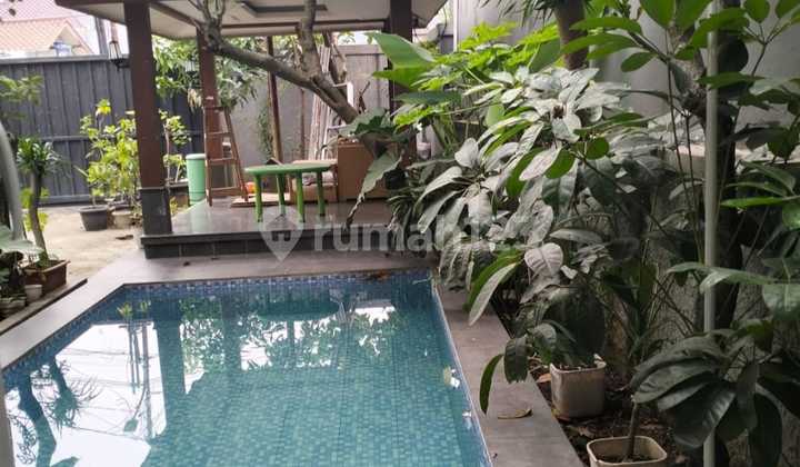 Dijual Rumah Mewah Harga B U Meruya Jakbar Ada Kolam Renang Dijual Rumah Mewah Harga B U Meruya Jakbar Ada Kolam Renang