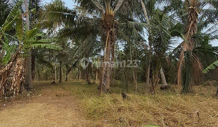 Jual Cepat Tanah Padat Siap Bangun di Pinggir Jalan Mauk Tangerang 2