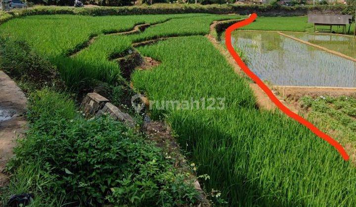 Tanah Sawah Produktif di Jatinangor Bandung 2