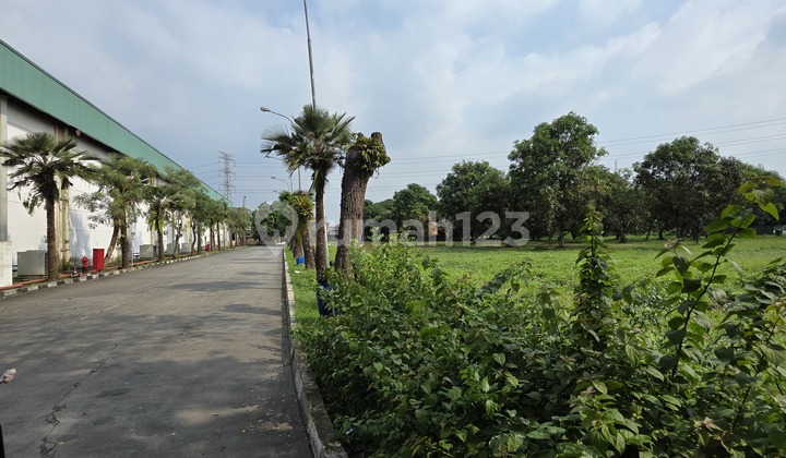 Disewakan Gudang Gandeng Baru 2000 Sd 9000 Dekat Tol Cikupa Disewakan Gudang Gandeng Baru 2000 Sd 9000 Dekat Tol Cikupa