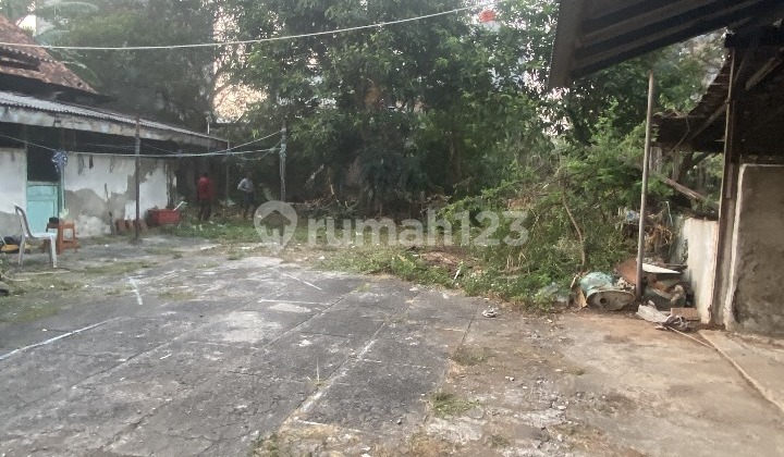 Js142 Dijual Rumah Hitung Tanah Harga di Bawah NJOP