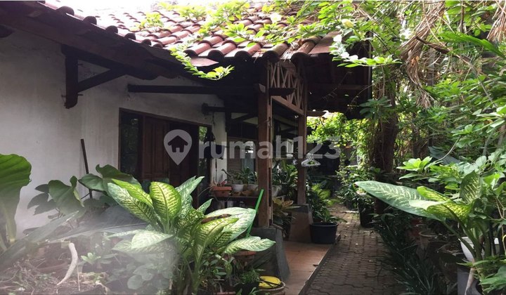 Dijual Rumah Asri Dekat dengan Fasilitas Umum dan Pusat Kuliner di Bangka Jakarta Selatan