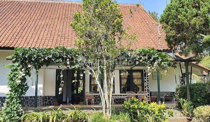 Jual Villa Asri Dengan Tanah Cukup Luas 12 M Cibulan Cisarua - Bogor  1