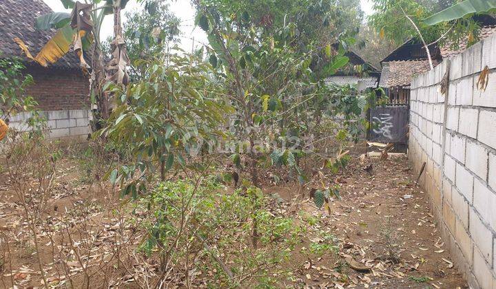 Dijual Tanah Kebun Produktif  2