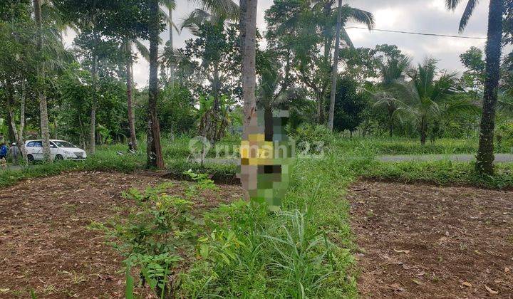 PASTI CLOSING 
DI JUAL TANAH VIEW SAWAH LOKASI MUNCAN KARANGASEM 1