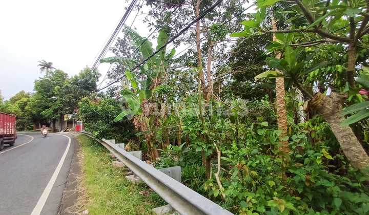 Pasti Closing Di Jual Tanah View Sawah Pinggir Jalan Lokasi Sanding Tampak Siring Ubud Gianyar