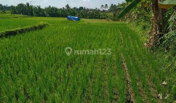 PASTI CLOSING DI JUAL TANAH LOKASI NYAMBU KABA KABA KEDIRI TABANAN 1