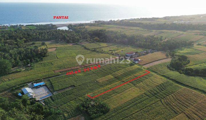 PASTI DEAL DI JUAL TANAH LOKASI PASUT BERABAN TABANAN

 1