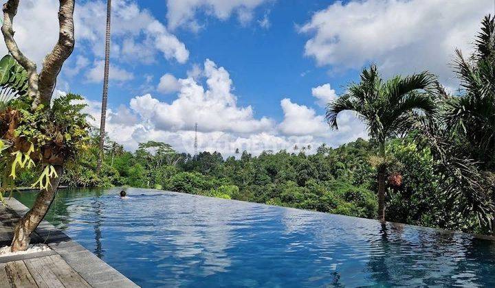 Pasti Deal Di Jual Villa View Hutan & Sungai Lokasi Tegallalang Ubud Gianyar 1