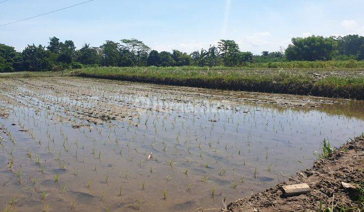 PASTI CLOSING DI JUAL TANAH LOKASI SIYUT TULIKUP GIANYAR  1