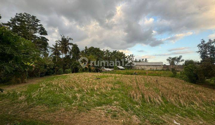 PASTI CLOSING DI SEWAKAN TANAH VIEW HUTAN & SUNGAI LOKASI SINGAKERTA UBUD GIANYAR 2