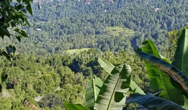 PASTI CLOSING DI JUAL TANAH VIEW LAUT & SAWAH LOKASI MUNDUK BANJAR BULELENG 2