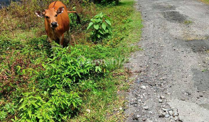 SURELY CLOSED FOR SALE LAND IN THE LOCATION OF GOA GONG UNGASAN SOUTH KUTA BADUNG 1