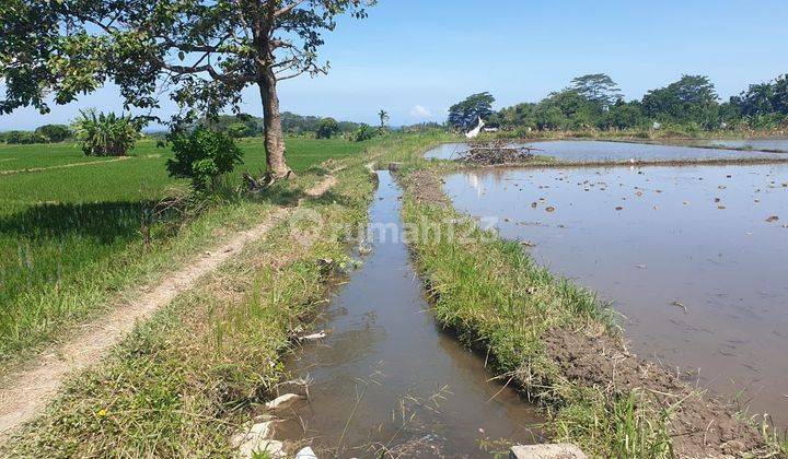 PASTI CLOSING DI JUAL TANAH LOKASI SIYUT TULIKUP GIANYAR  2