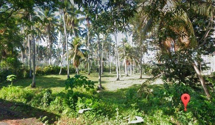 SURE CLOSING FOR SALE, LAND LOSS BEACH VIEW SEA ON THE MAIN ROAD, LOCATION OF PENGERAGOAN NEGARA JEMBRANA
 1