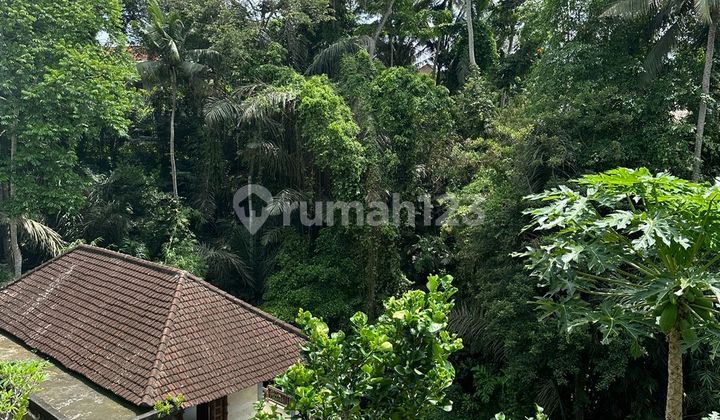 SURE CLOSING FOR SALE LAND WITH BUILDING BONUS LOCATION SUWETA UBUD GIANYAR