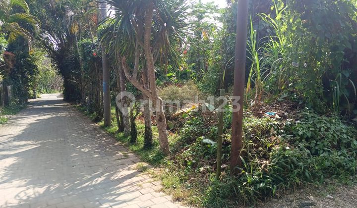 SURELY CLOSED FOR SALE LAND IN NYUH KUNING MAS UBUD GIANYAR LOCATION