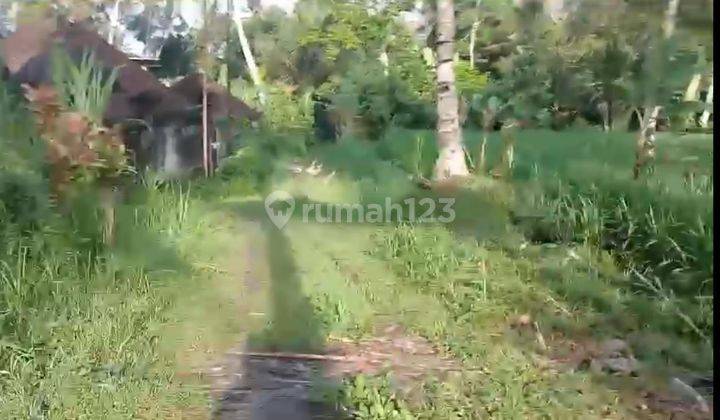 PASTI CLOSING DI JUAL TANAH LOKASI KELIKI UBUD GIANYAR 2