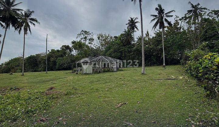 SURELY CLOSED FOR SALE LAND AT DALEM BONIAN ANTAP TABANAN TEMPLE LOCATION 1