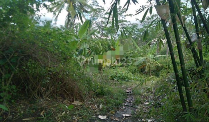 PASTI DEAL DI JUAL TANAH LOKASI SUMBERKIMIA BULELENG 1