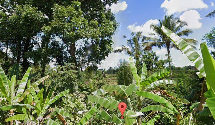 Pasti Closing Di Sewakan Tanah View Sawah Lokasi Senganan Penebel Tabanan 1