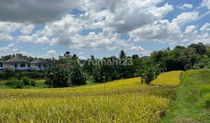 CERTAINLY CLOSING FOR RENT LAND AT THE BERABAN TABANAN SINGING LOCATION 2