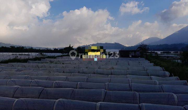 SURELY CLOSED FOR SALE LAND AT THE LOCATION OF KUNING TEMPLE BEDUGUL TABANAN 2