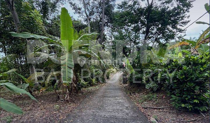 SURELY CLOSED FOR SALE LAND AT DALEM BONIAN ANTAP TABANAN TEMPLE LOCATION 2