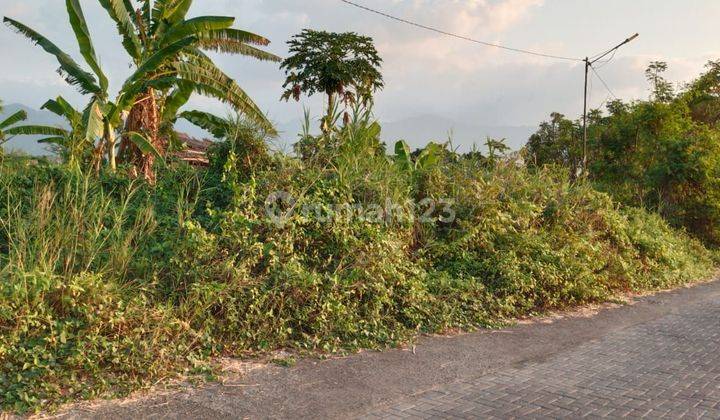 SURE CLOSING FOR SALE LAND NEAR THE BEACH WITH SEA VIEW LOCATION KALISADA SERIRIT BULELENG
 2