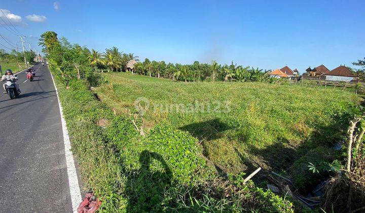 PASTI CLOSING DI JUAL TANAH PINGGIR JALAN UTAMA LOKASI SIBANG GEDE ABIANSEMAL BADUNG 1