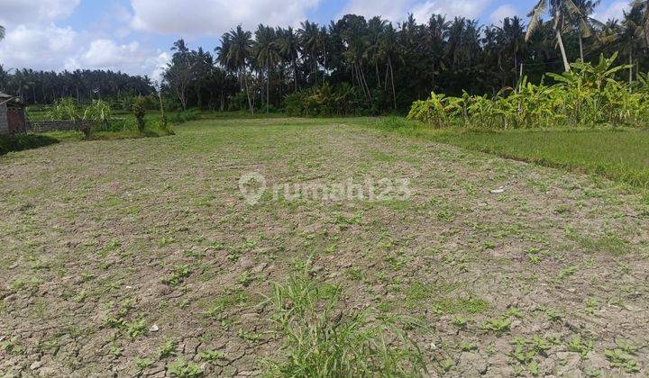 PASTI CLOSING DI JUAL TANAH VIEW SAWAH LOKASI BURUAN BLAHBATUH GIANYAR 1