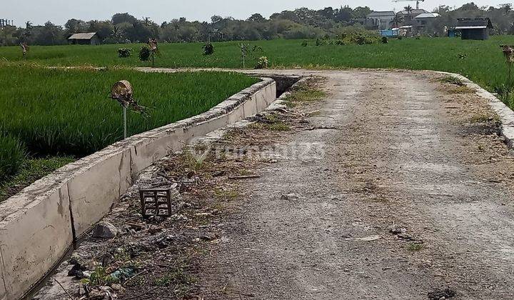 CERTAINLY CLOSING FOR RENT LAND WITH RICE FIELD VIEW LOCATION CEMAGI MENGWI BADUNG
 2