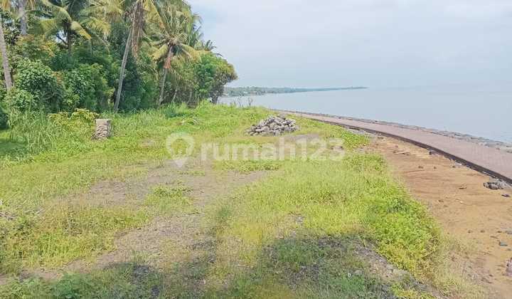 Pasti Closing Di Jual Tanah Loss Pantai View Laut Lokasi Kubutambahan Buleleng