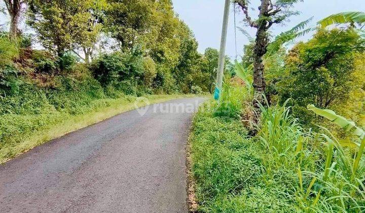 Pasti Closing Di Jual Tanah Kebun Cengkeh View Laut Lokasi Selat Sukasada Buleleng
 1