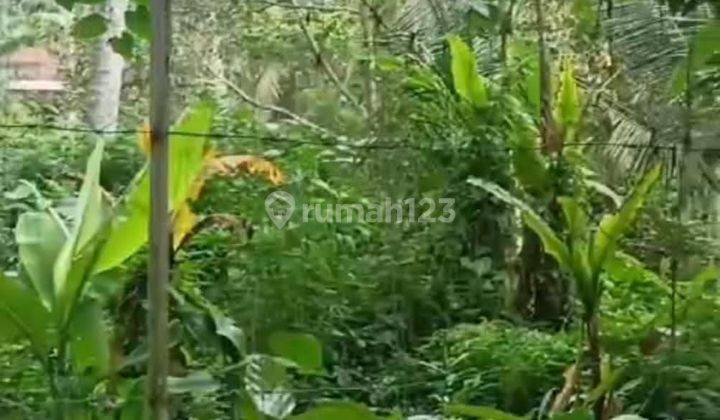 PASTI DEAL DI JUAL TANAH LOSS SUNGAI LOKASI SAYAN UBUD GIANYAR 2