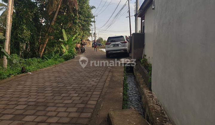 PASTI CLOSING DI SEWAKAN TANAH VIEW SAWAH LOKASI PEJENG KAWAN UBUD GIANYAR
 2