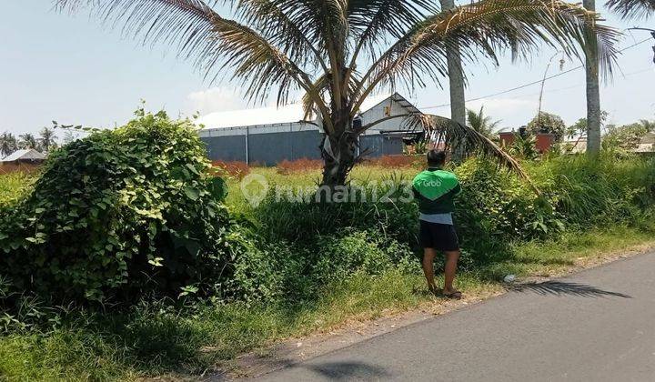 PASTI CLOSING DI JUAL TANAH PINGGIR JALAN LOKASI MEDAHAN BLAHBATUH GIANYAR 1