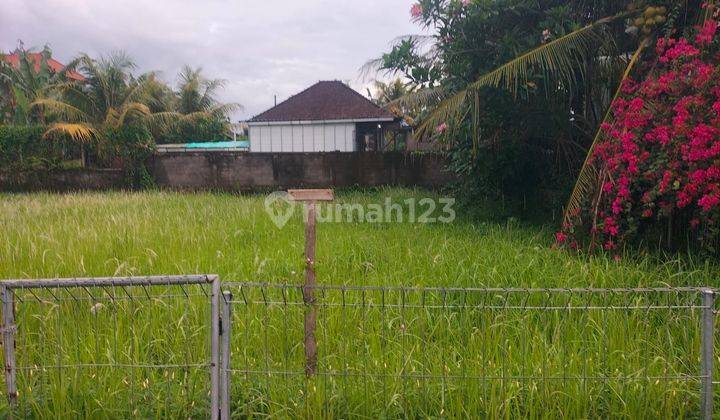 SURE CLOSING FOR SALE LAND WITH RICE FIELD VIEW IN GELOGOR LODTUNDUH UBUD GIANYAR LOCATION
 1