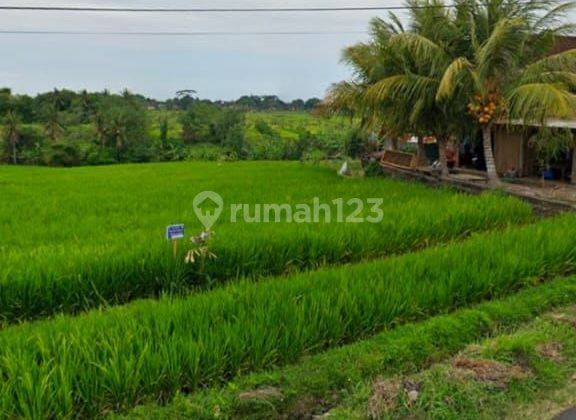 PASTI CLOSING DI JUAL TANAH PINGGIR JALAN LOKASI KABA KABA KEDIRI TABANAN 1